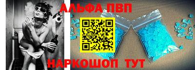 стафф Кингисепп