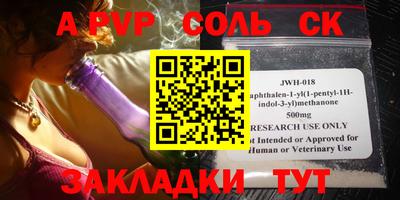 стафф Кингисепп