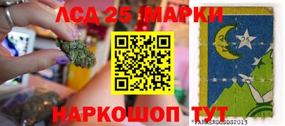 стафф Кингисепп