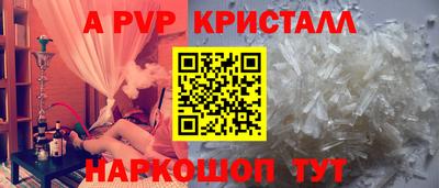 стафф Кингисепп