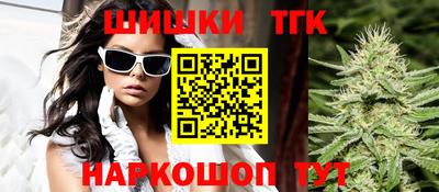 стафф Кингисепп