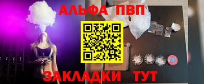 стафф Кингисепп