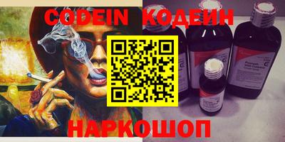 стафф Кингисепп