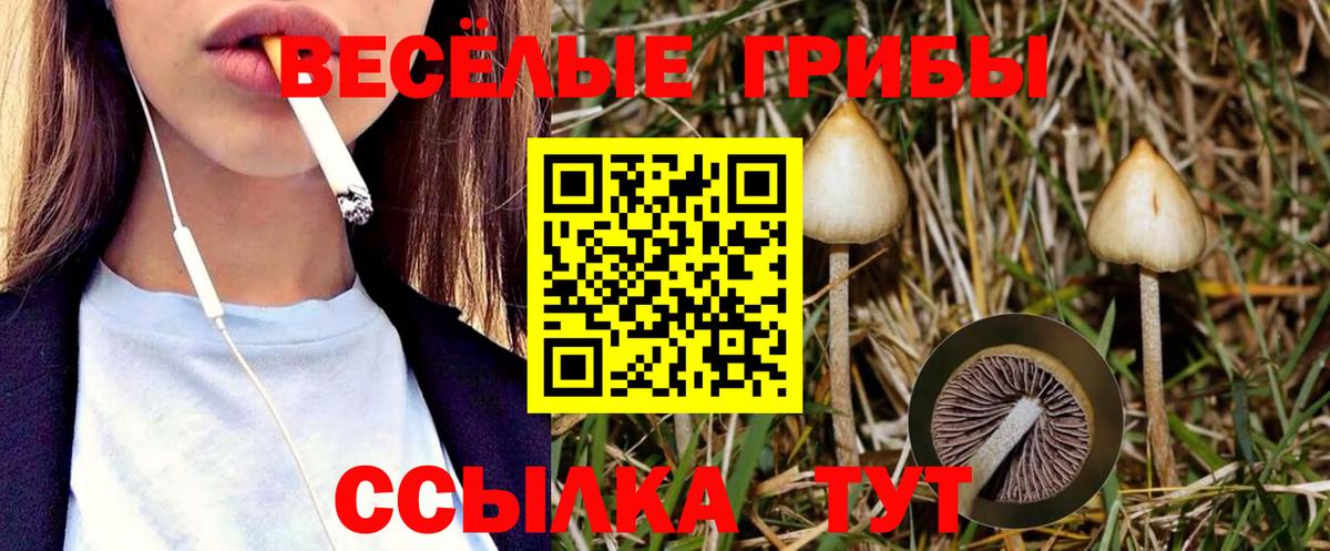 Псилоцибиновые грибы ЛСД  Вход с VPN  Галлюциногенные грибы Psilocybine cubensis  Югорск 